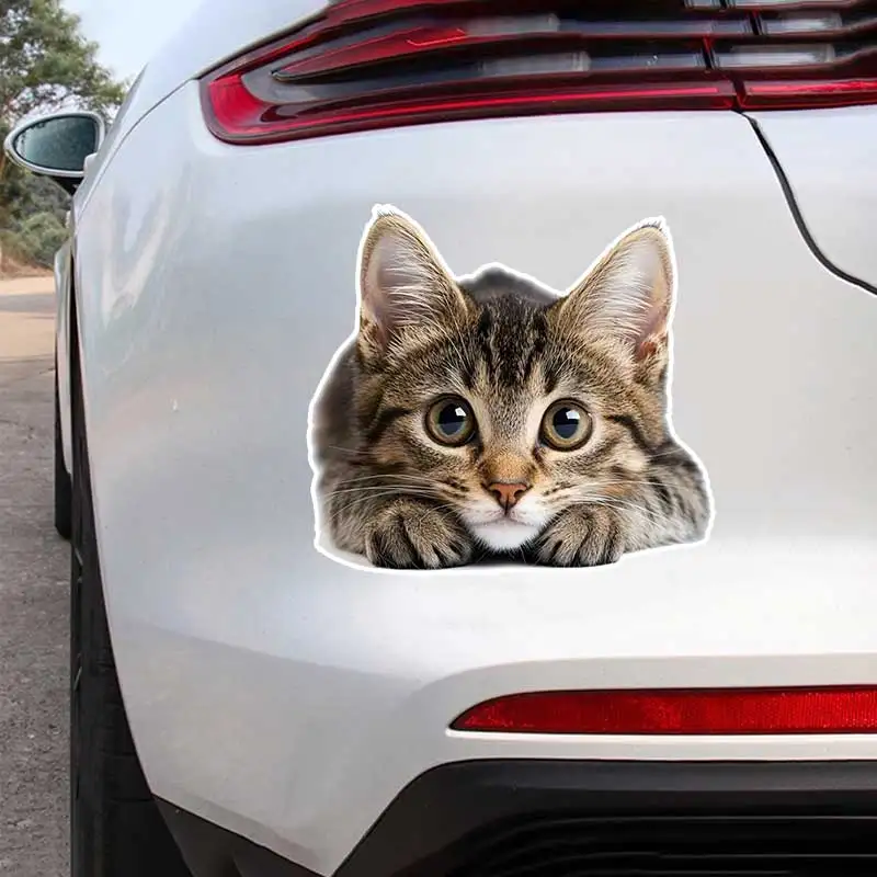 

Cute Tabby Cat Lying Down Car Sticker Vinyl Decal Waterproof Rear Window Motorcycle Camper Bumper Truck Laptop Decoration SH1541