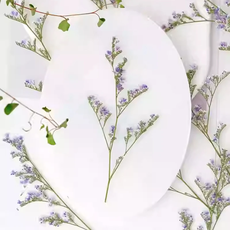 24 Stück/9–12 cm, Naturliebhaber, Gras, getrocknete Blumen, DIY-Grußkarte, Fotorahmen, Kleber, Handyhülle, handgefertigtes Lesezeichen, Maniküre-Material – Detail 3