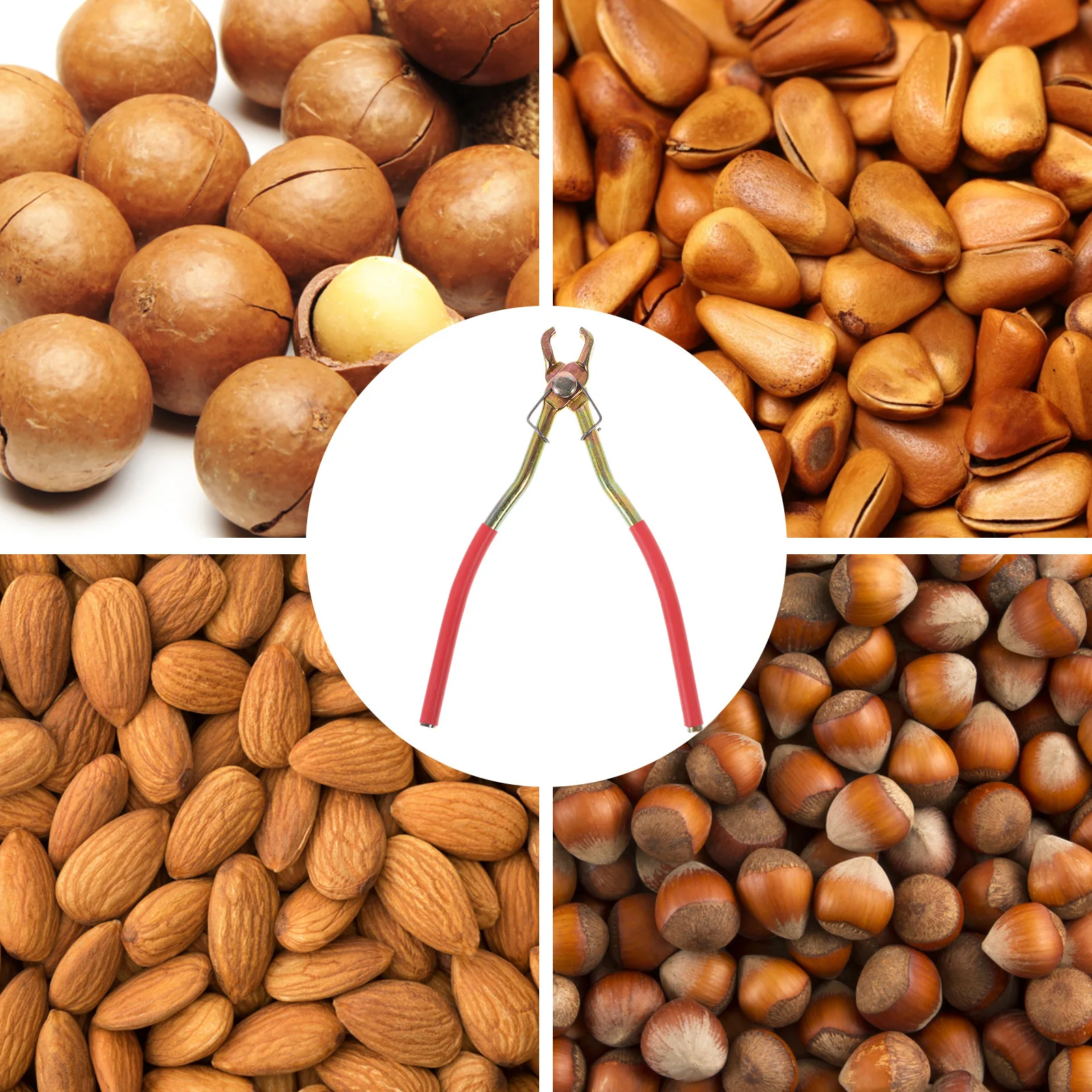 3pcs Nut Cracker Stainless Steel Household Pine Nut Clip For Almonds Hazelnuts Walnuts Nuts Opener Tool Kitchen Bar Accessories