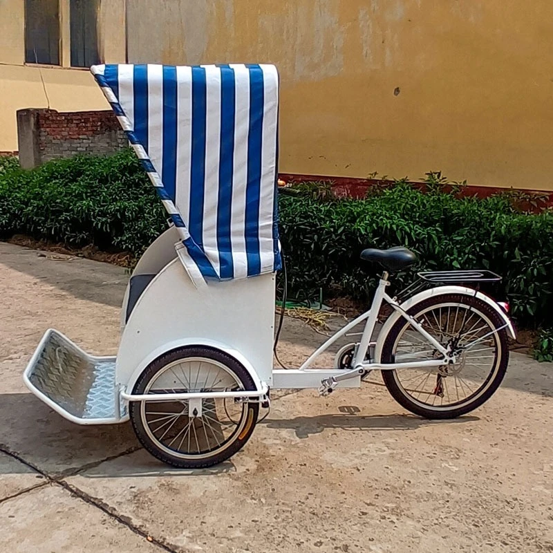 Retro upside down donkey passenger tricycle