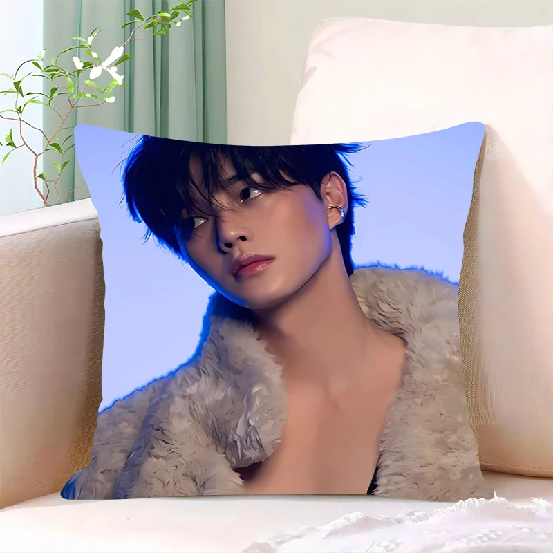 Pillow Cover Birthday Wedding Gifts 40x40 Cushions Covers S-Song Kangs Dakimakura Fashion Throw Pillows iving room Pillowcase