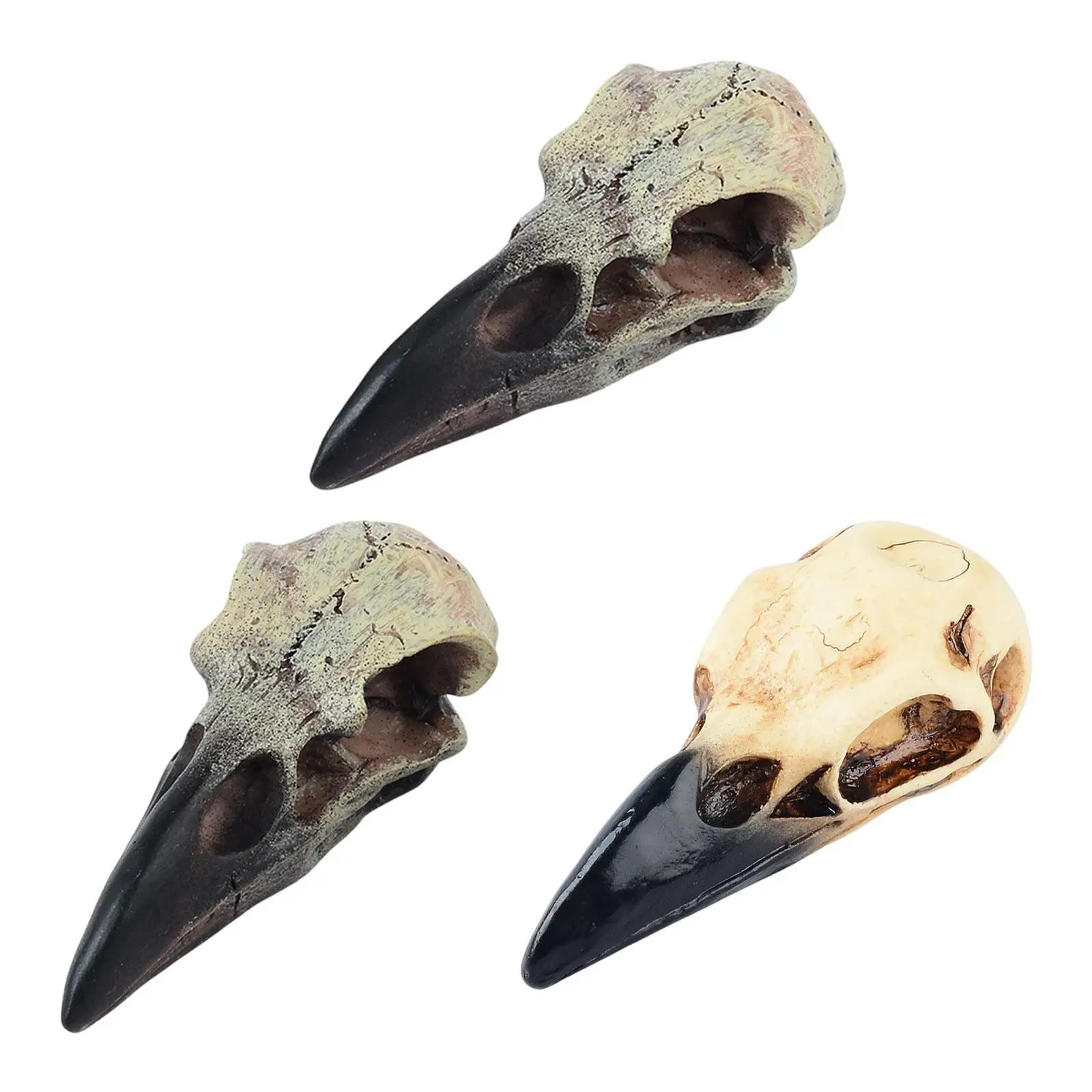 Halloween Raven Skull Figurine Wall Sculpture Pendant Raven Skull Ornament Decor for Party Window Sill Desk Holiday Tabletop