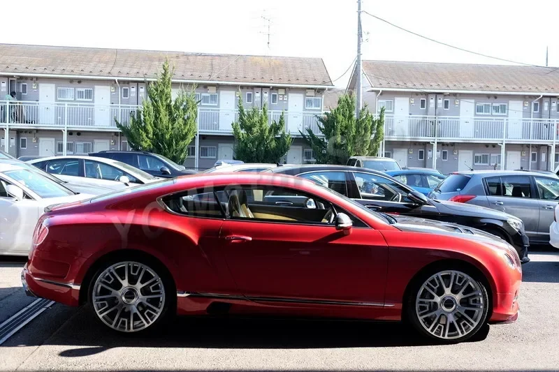 

Автомобильные аксессуары: Накладки на пороги из карбона в стиле MS для Bentley CTN GT GTC 2011-2016 годов, тюнинг-стиль