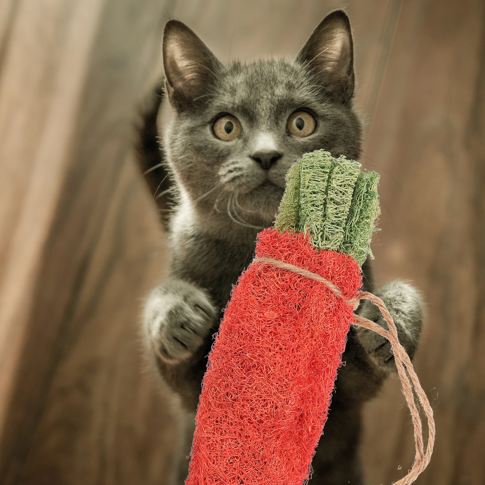 

Durable Loofah Shaped Chew for Dogs Cats Pet Hamster Freezer Edible Treat Bad Breath Puppy Toys Dog Rabbit