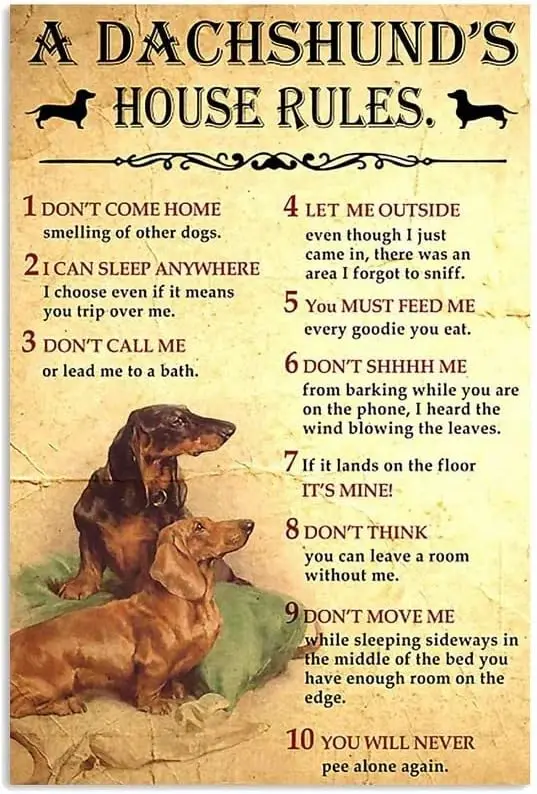 Dachshund House Rules, Gifts for Dog Lovers Vintage Metal Sign Plaque, Fun Tin Sign Entrance Decor Porch Wall Sign 12x8inch sign