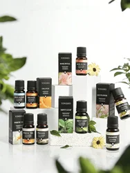 14 Flavors 10ml Essential Oils for Aroma Diffuser Air Humidifier Home Water-soluble Orange Vanilla Rose Lavender Fragrance Oil