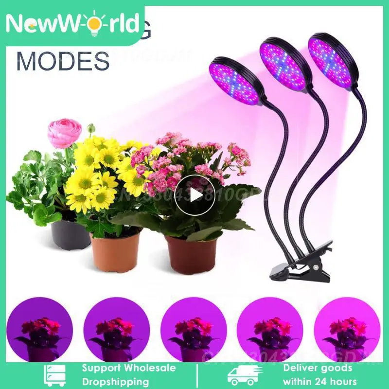 Full Spectrum LED Grow Light USB Phyto Lamp Fitolamp with Control Phytolamp for Plant Seedlings Flower Home Tent Growth Lighting