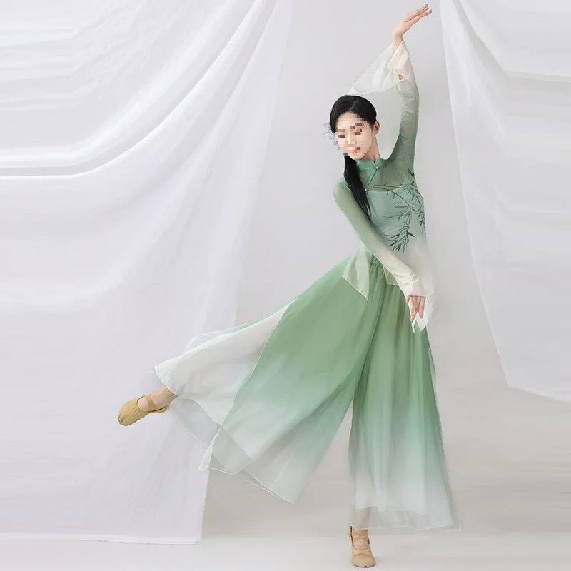 

Classical Dance Practice Suit Elastic Body Rhyme Gauze Chinese Dance Performance Costume for Women