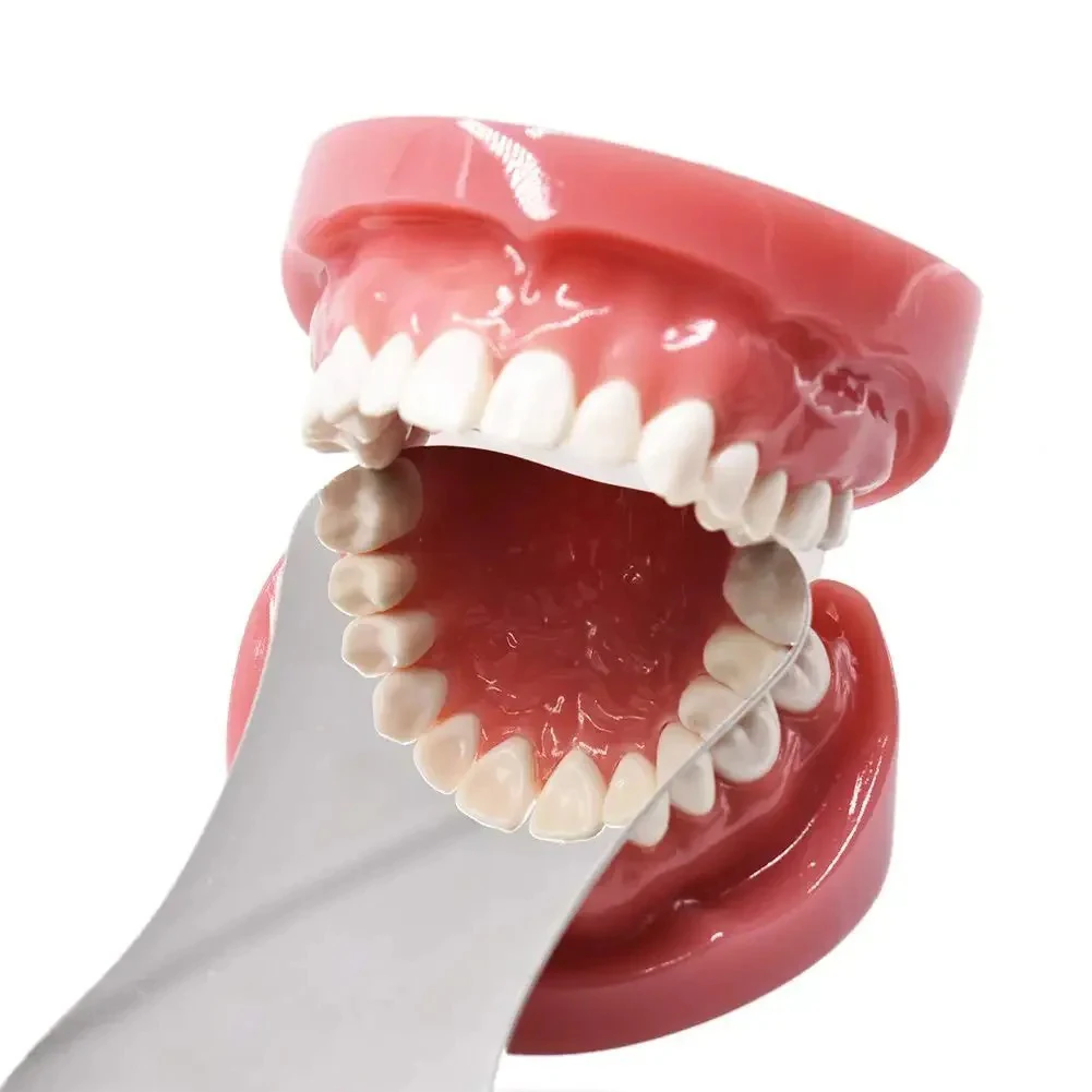 AG 1 PCS Dental Stainless Steel Photography Mirrors Autoclavable Intra-Oral Orthodontic Reflecto