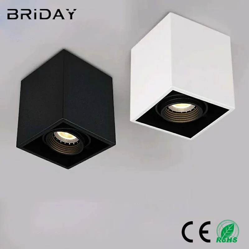 Dimmable LED Ceiling Lights waterproof Spot lamps  for Bathroom Outdoor foyer ceiling lights with GU10 bulbs lamp