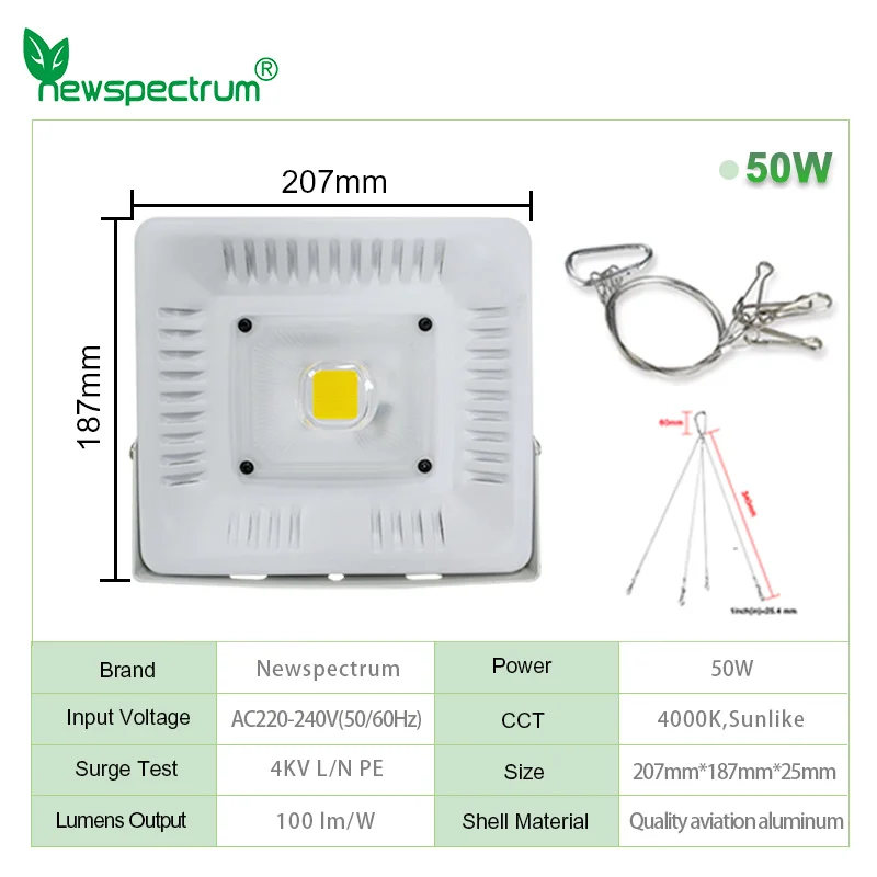 50W LED Floodlight AC 110V 120V 220V High Brightness IP65 Whit Lens COB LED Light for Outdoor Wall Garden Landscape Lighting