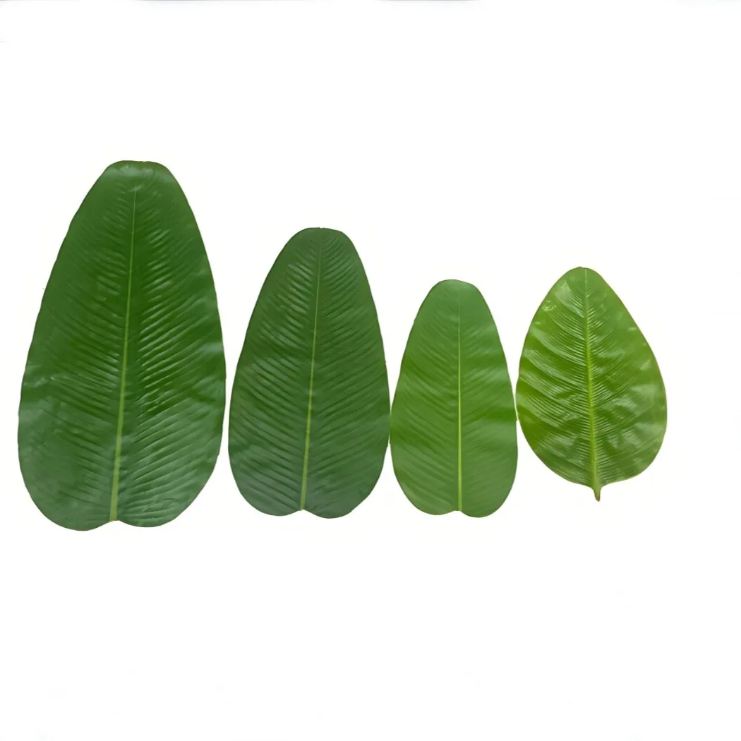 

Banana Leaf Dining Table Hotel Hawaii Theme Party Decoration Green Simulation Leaves Rubber Coated Texture Food Arrangement