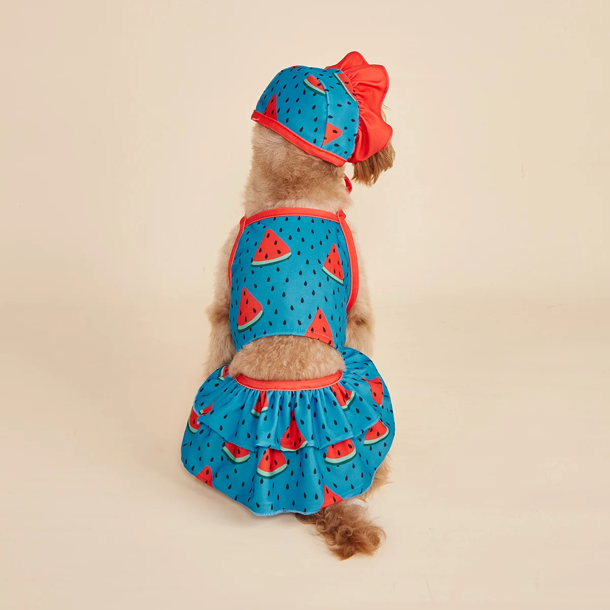 Three-piece Dog Dress for Small Dogs Cool Costume Watermelon Printed Puppy   Doggie Pet Clothes Ruffle Apparel for Dogs Cats Dai