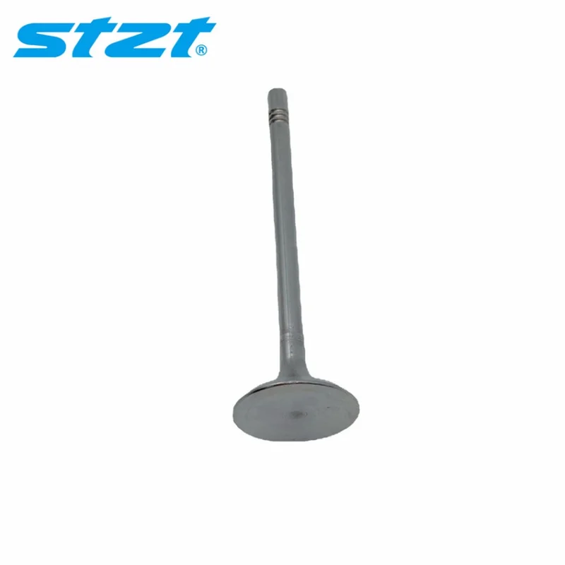 6420530401 Auto Car parts Engine Intake Exhaust Valve For Mercedes W164 W204 W251 W221 C320 C350 CLK320  Intake Valve