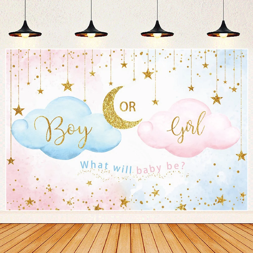 Newborn Baby Gender Reveal Party Background He or She Baby Shower Boy or Girl Pink and Blue Family Photo Area Photo Backdrop