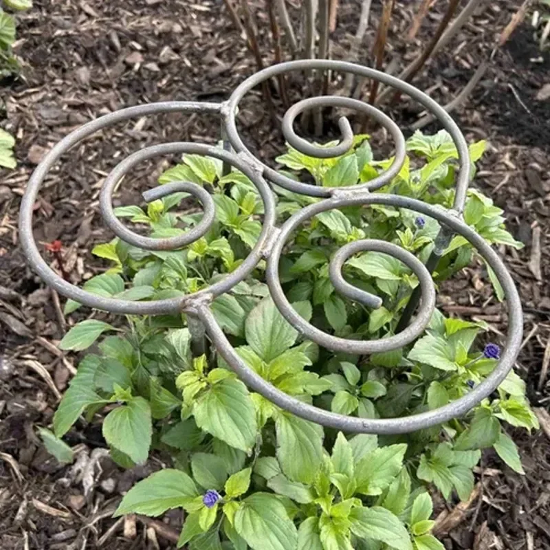 

Peony Cage Heavy Duty Metal Peony Support Cage Grow Through Flower Support Rings Stake for Outdoor Plants Peony Tomato Hydrangea