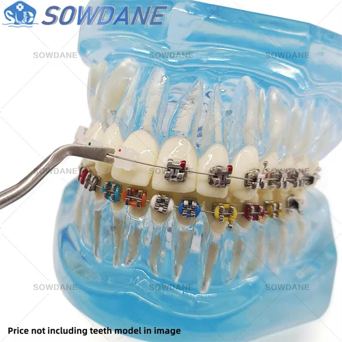 Imagen 2 del producto Director de ligadura de ortodoncia Dental con escalador, herramienta de limpieza Dental, instrumento Dental de acero inoxidable