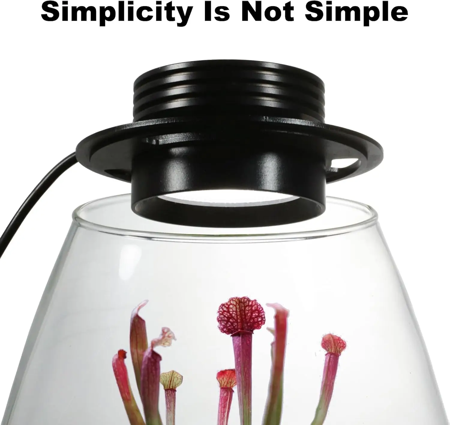 Indoor Glass Terrarium with Built-in Grow Light 7.8x6.7 inches for Succulents, Moss, Miniature Gardens, Betta Fish Habitat, Houseplants, Office & Home Decor, Ideal Gift for Plant Lovers