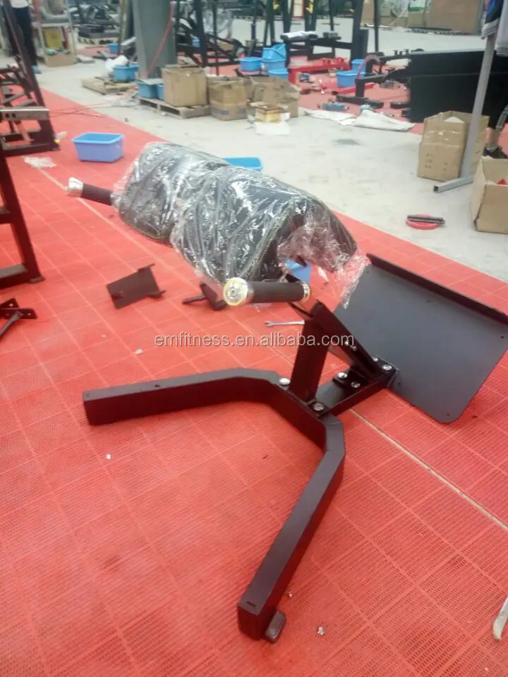 New Indoor Gym Fitness Equipment Steel Back Extension Roman Chair Exercise Machine for Bodybuildingpromote sales