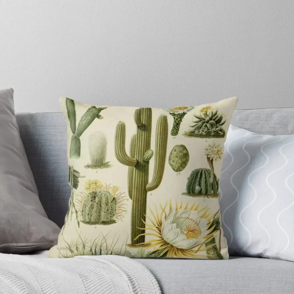 Naturalist Cacti Throw Pillow Decorative Cushions For Living Room Anime pillow