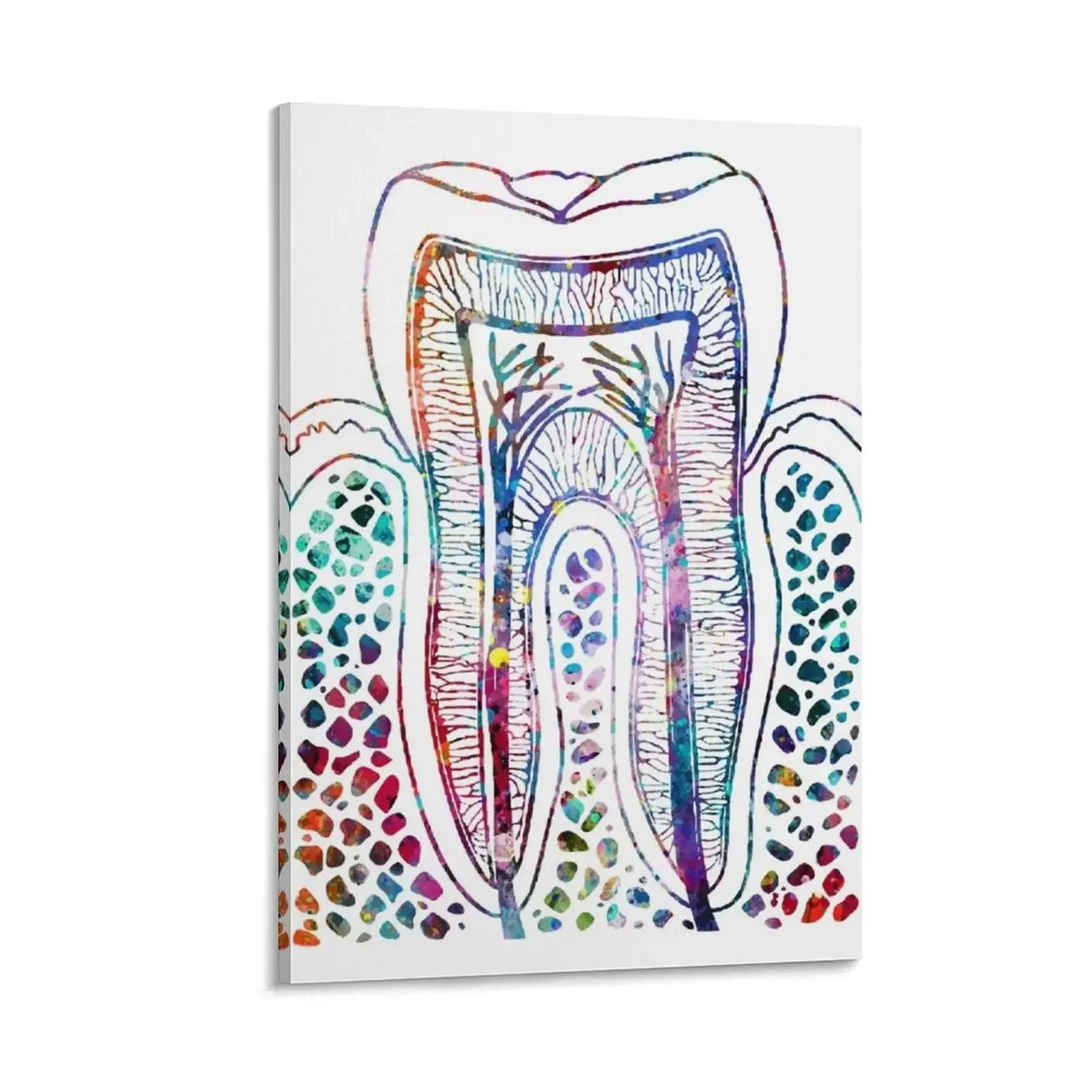 

Human Tooth Structure Canvas Painting photos for living room room decor poster mural