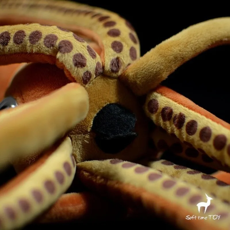 ZWY brand original king squid doll simulation cuttlefish doll plush toy gift