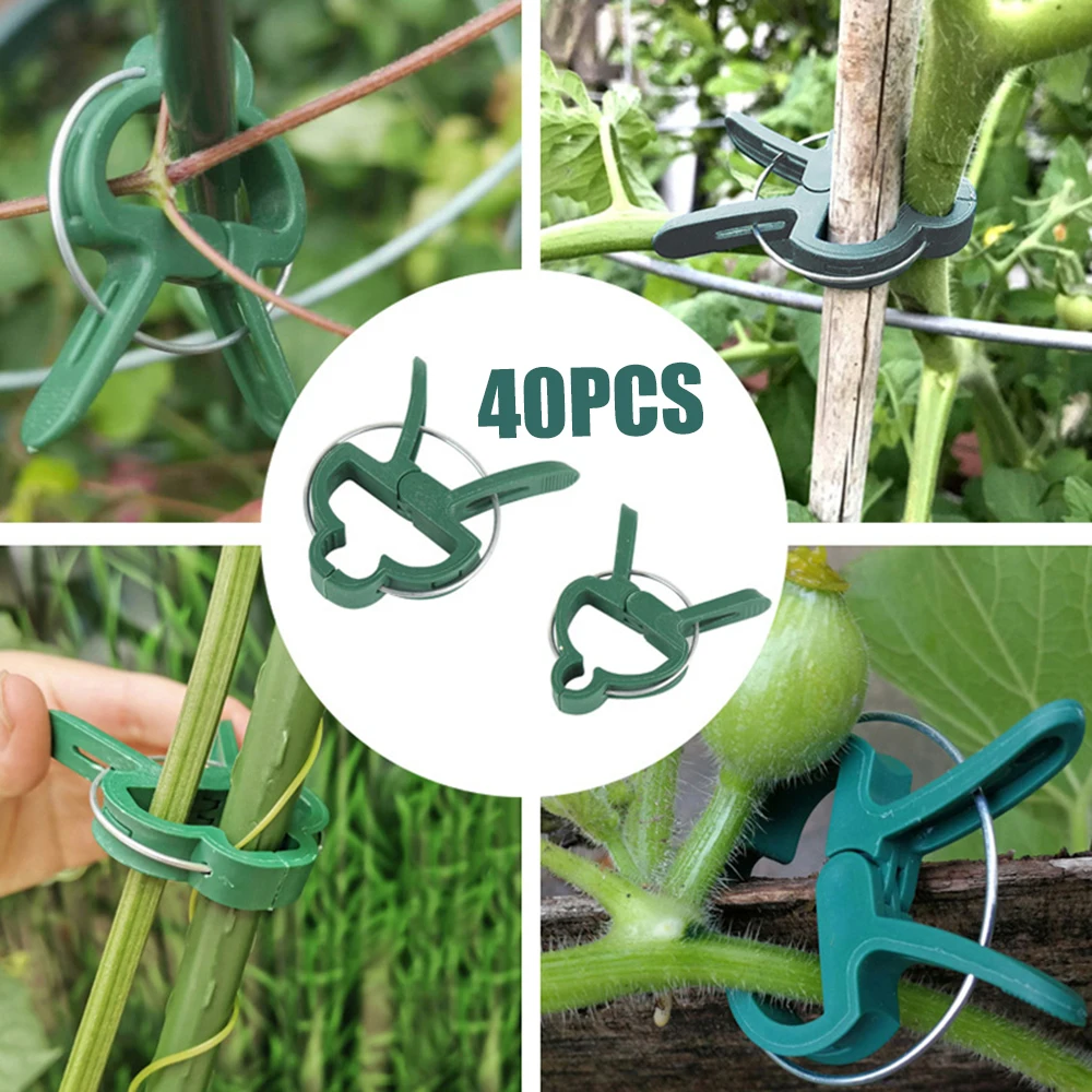 40pcs Garden Plant Fixed Clips for Vegetables Flowers Stem Vines Grape Clamp Support Straighten Stems Swallow Clip