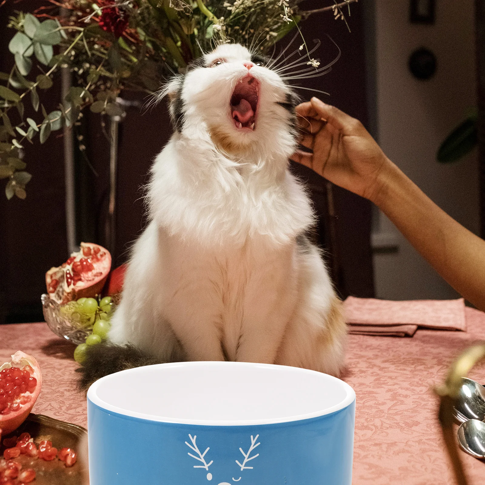 

1Pcs Christmas Cat Bowl Premium Ceramic Dog Bowl Smooth Surface Pet Feeding Supply Floor Feeding Dish for Puppy Supply Cat Water