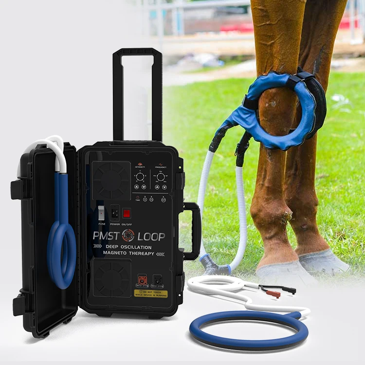 Hot in Europe Electro Magnetic Wave Therapy Machine For Horses Pemf Loop Pain Reduction Magnetic Therapy Devices Horse