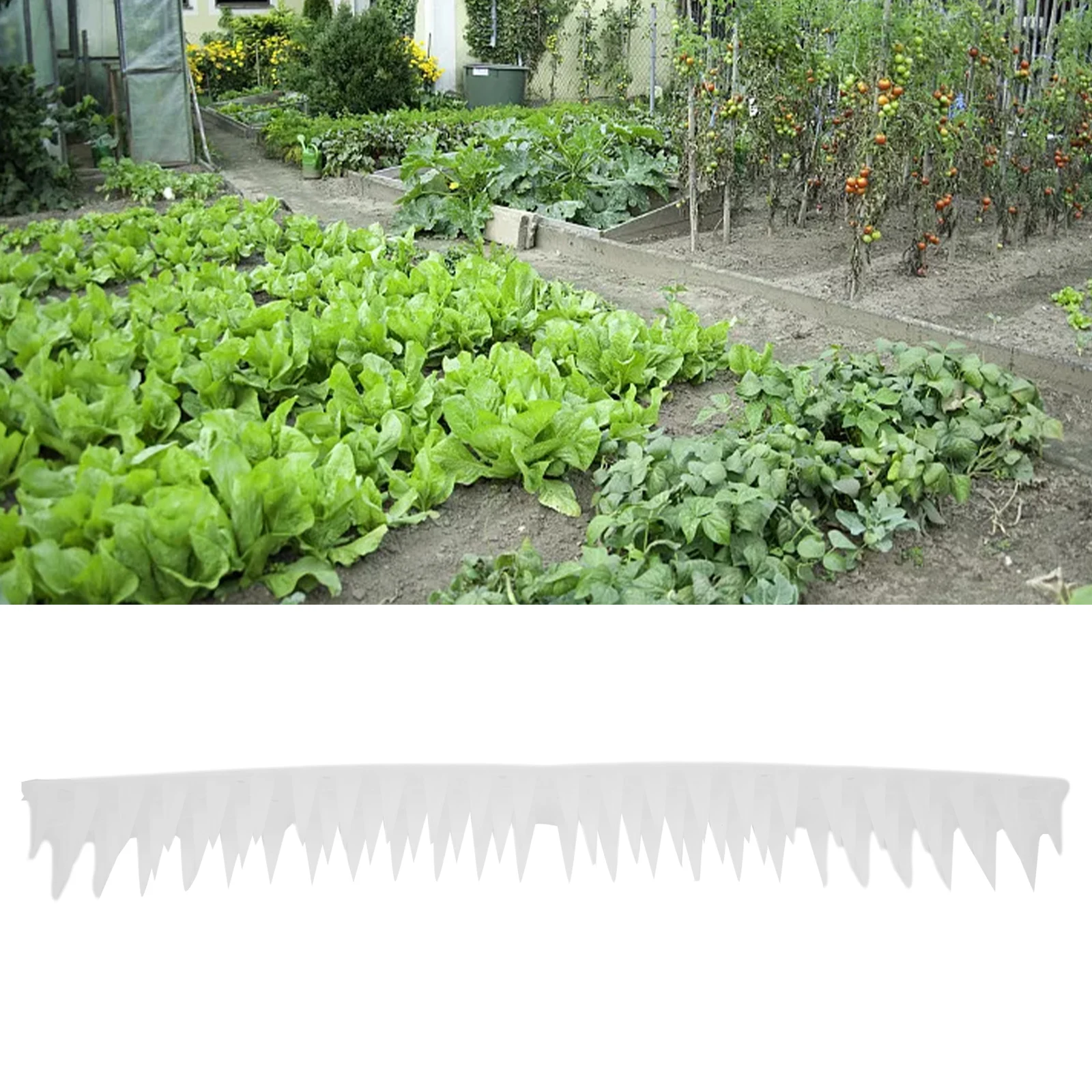 Anti-bird Thorn Bird Spikes High Control Long Against Birds Cat Deterrent Pigeon Deterrent 1 Piece 45*4.5*3.7cm