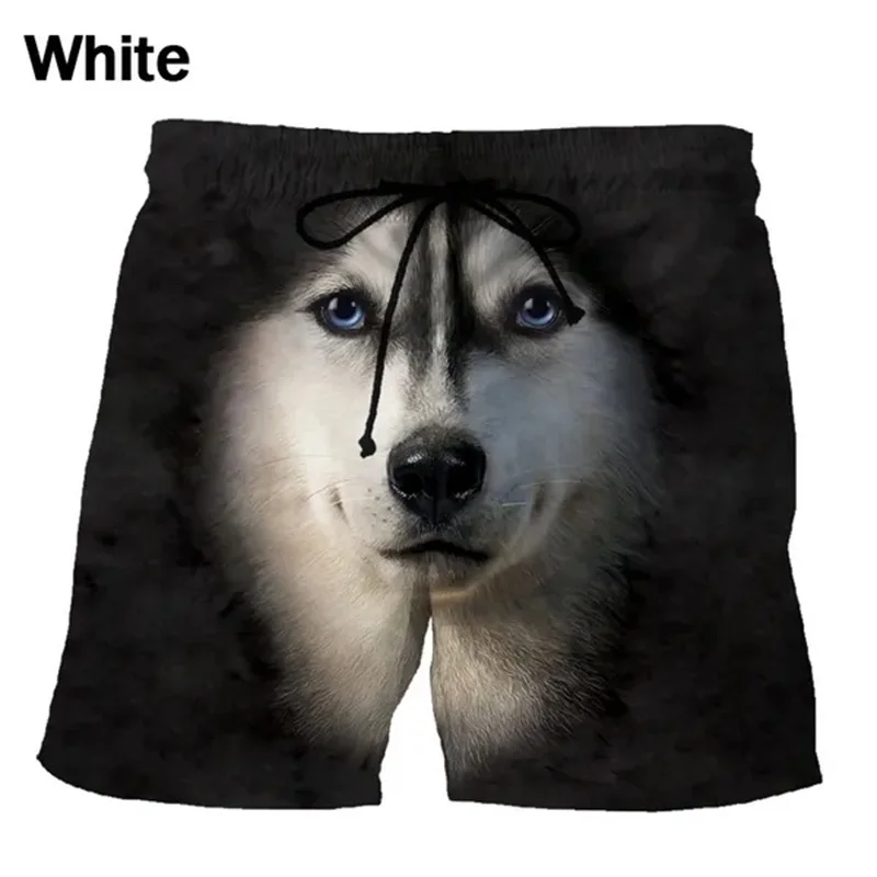 New Funny Animal Graphic Beach Shorts For Men 3d Print Cute Pet Surf Board Shorts Beachwear Casual Quick Dry Gym Swim Trunks