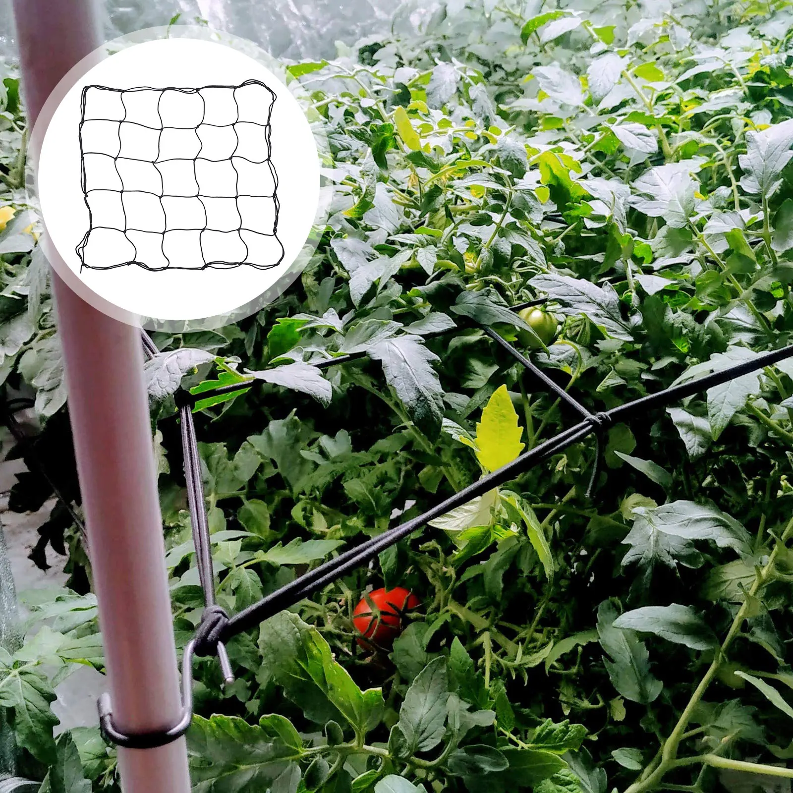 

1pc Plant Pressing Net Durable Garden for Vegetables Fruits Flowers Adjustable Elastic Grow Netting Gardening Tool