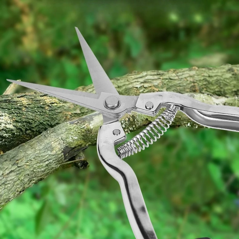 1pcs Stainless steel fruit shears - straight headed pruning and picking shears for gardens, outdoor activities, and harvesting