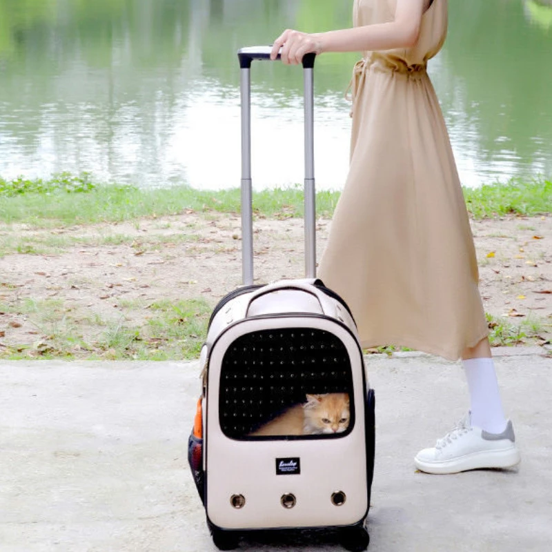 Imagem -05 - Trolley Pet Backpack Large Space Mute Roda Universal Cat Bolsa Folding Trolleys Animais Bolsas Gatos e Dog Carrier