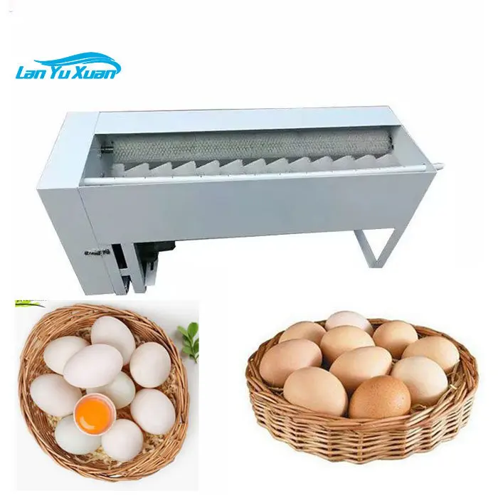 

Grading Cleaning Washer for Sale Wash Sprayer Mini Roller Brush Processing Egg Washing and Sorting Machine