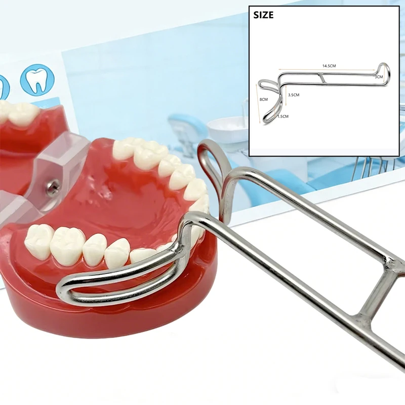 

Dental Double-headed Retractor Stainless Steel Oral Mouth Cheek Lip Expander Opener Intraoral Dental Surgery Tool