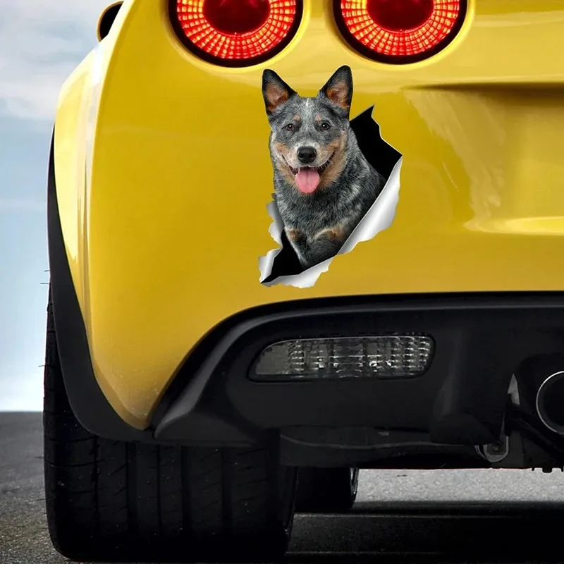 Pegatina Para Coche, Heeler azul, Perro, mascota, Animal, vinilo impermeable, accesorios de decoración Para Coche, Pegatinas Para Coche, 15cm, PVC KK