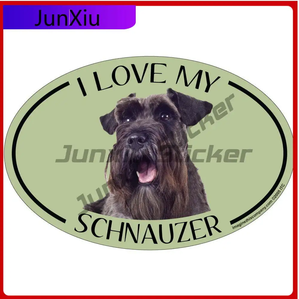 

Imagine This Oval , Aesthetic Car Truck Motor Home Bumper Motor Home Motor Home Decal Sticker Unique Cute Cool Unique Funny Cute