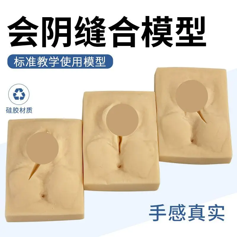 

Модель практики швов Вульвара, Модуль практики швов промежности, Модель обучения навыкам послестерики и гинекологии