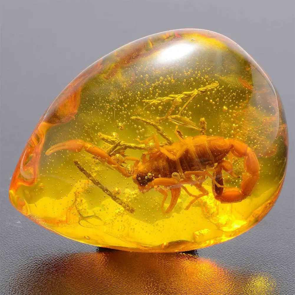 Insect Stone Natural Scorpions Inclusion Amber Baltic Gift Home Pendant Stone Wedding Party Decorative DIY Necklace U0G4