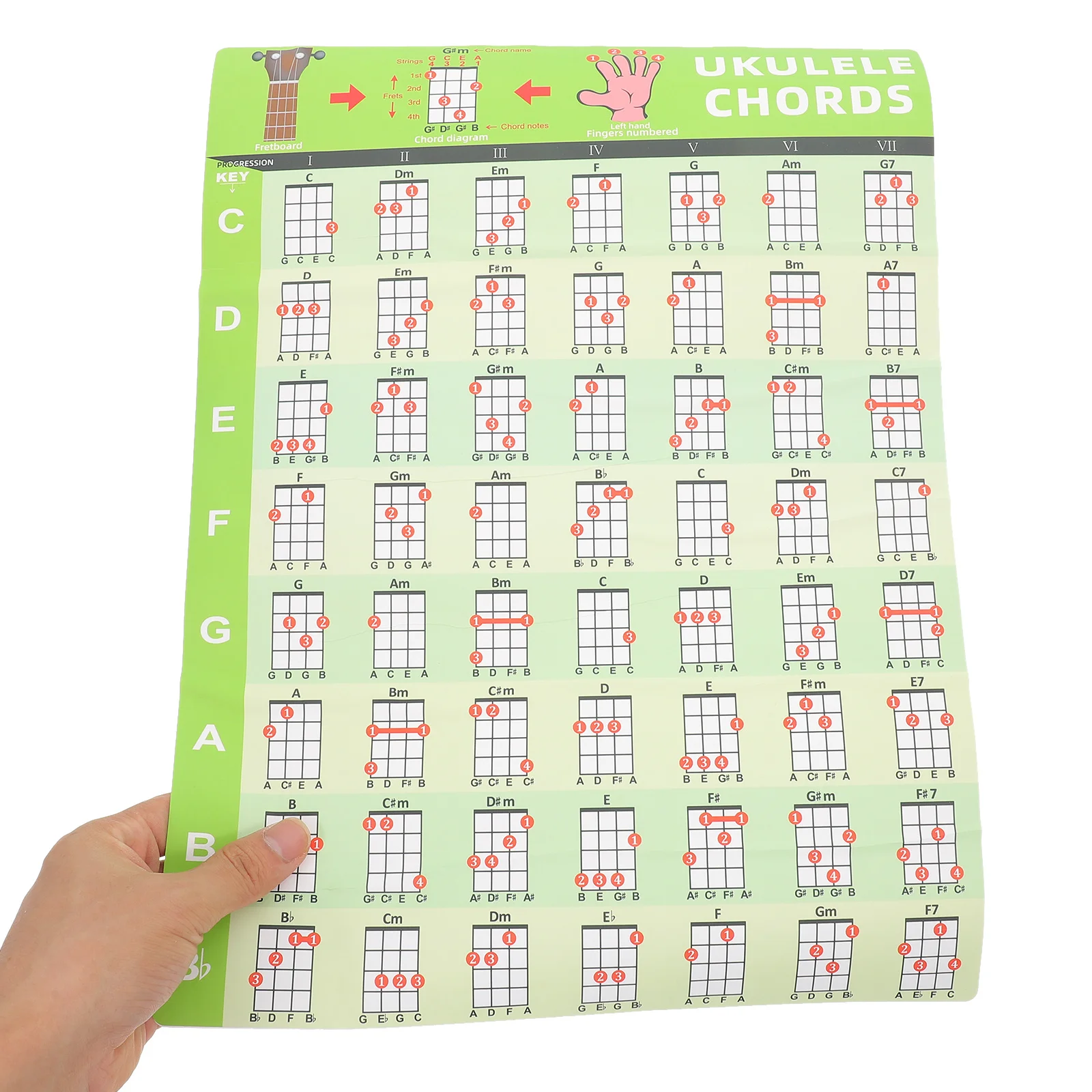 Ukulele Chord Chart Sticker Pvc Waterproof Wall Decal For Beginner Learning Reference Musical Instrument Accessories