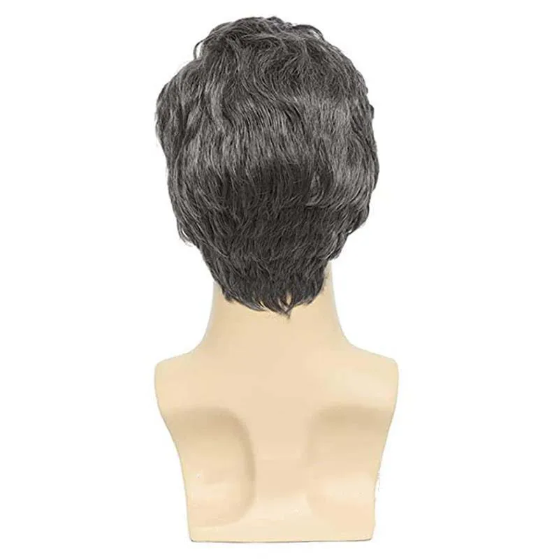 Man Synthetic Wigs Natural Black Short Wavy Wigs With High Temperature Fiber Daily Wear Curl Fashion Hairstyle Male Wig