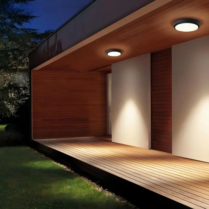 Luz do sensor do corpo humano