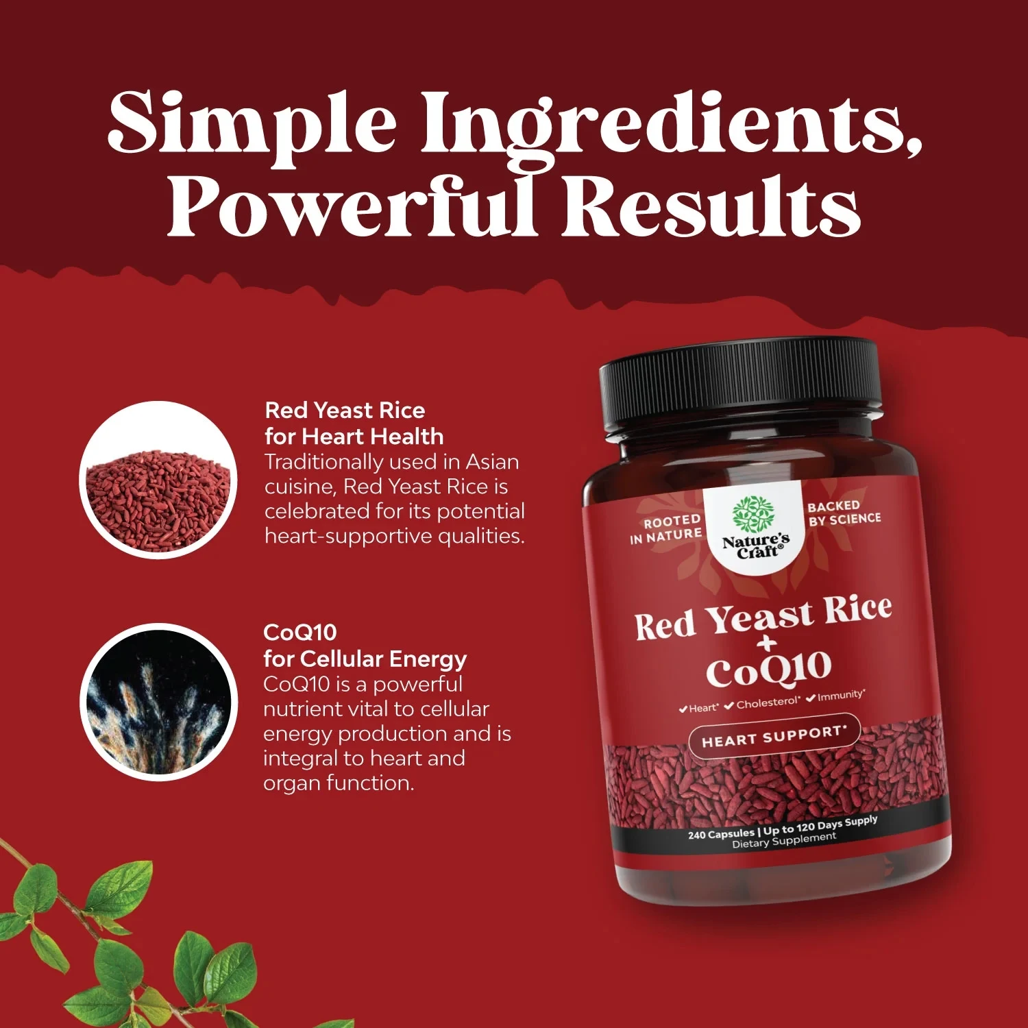 أرز الخميرة الحمراء + كبسولات مكملة CoQ10 - تعزز صحة القلب والدورة الدموية ومستويات الكوليسترول الصحية وتعزز الطاقة