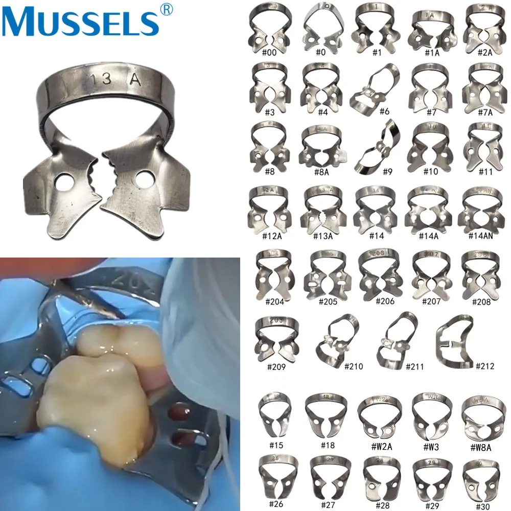 Pinces fantaisie en caoutchouc dentaire, 1 pièce, clips de barrière dominative endodontique, support de cadre en acier inoxydable pour dents molaires, matériel de dentiste