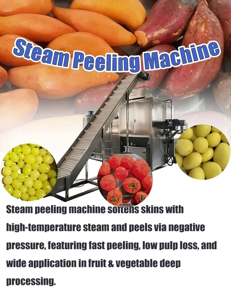 Steam Quick Peeler Taro Apple Peaches Pepper Carrots Tomato Steam Peeling Machine