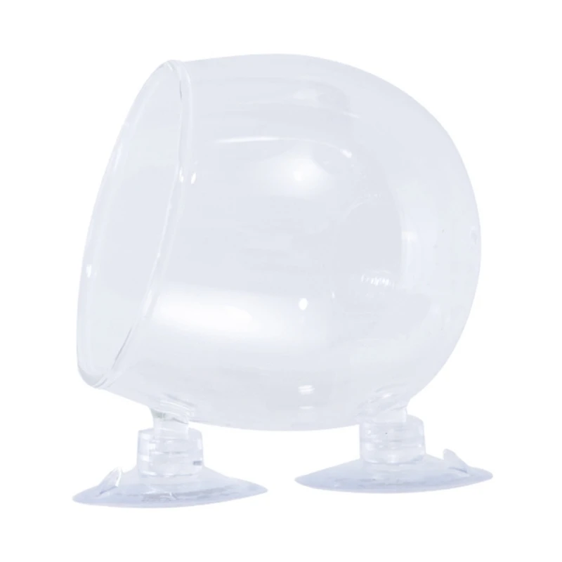 

Hydroponic Plant Glass Cup for Home Use Fishtanks with Strong Suction Cup for Secure Aquariums Plant Displaying Dropship