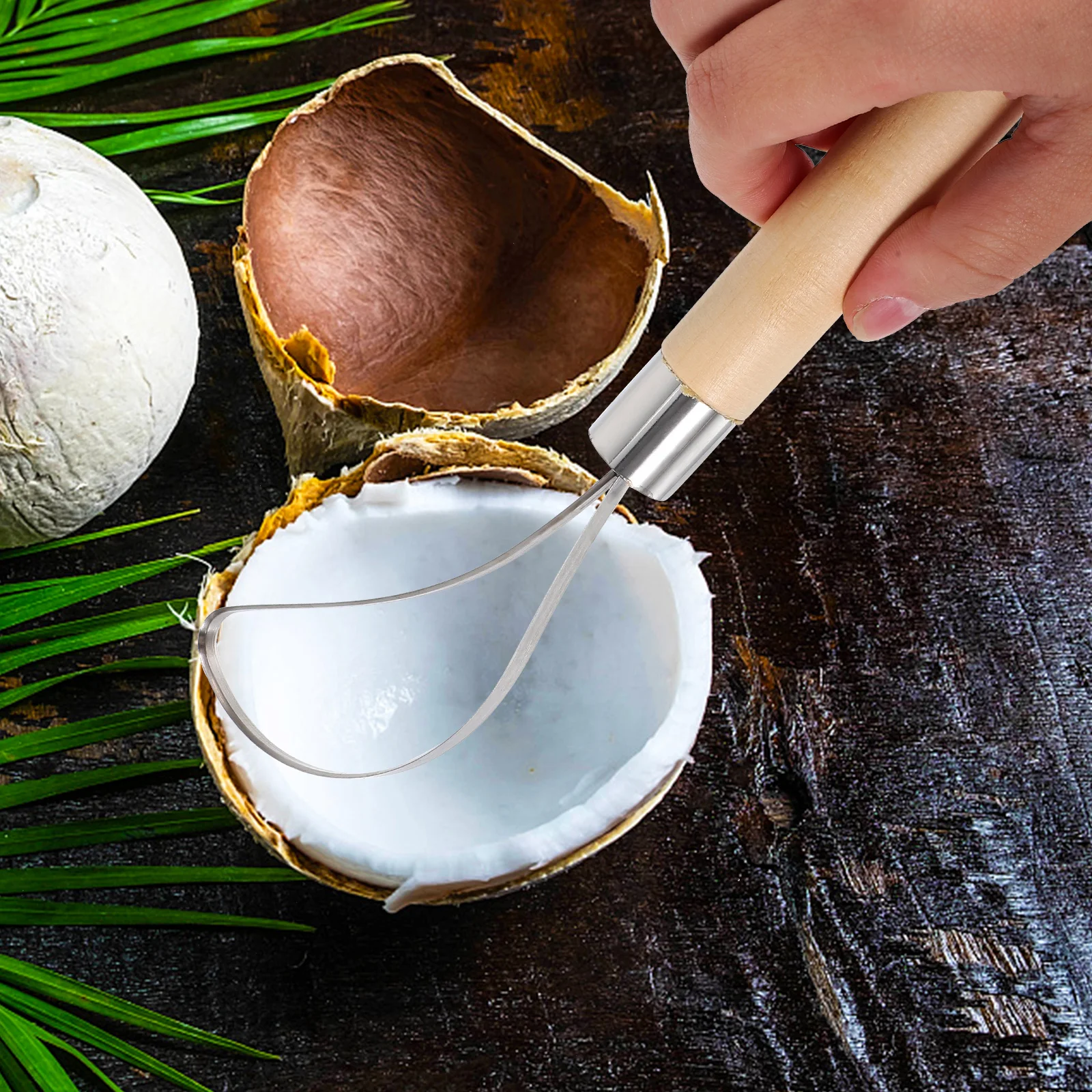 

Coconut Meat Remover with Smooth Grinding Handle Safe Comfortable Grip for Fresh Kitchen Grater Tool