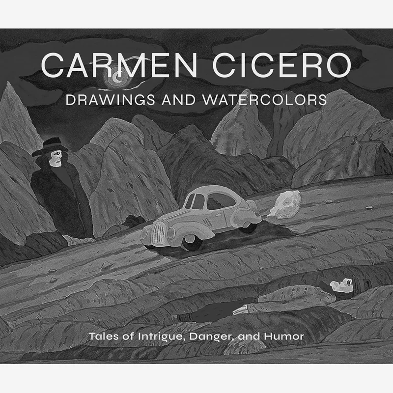 

Carmen Cicero Drawings And Watercolors David Ebony Abbeville Press 9780789214911 Book