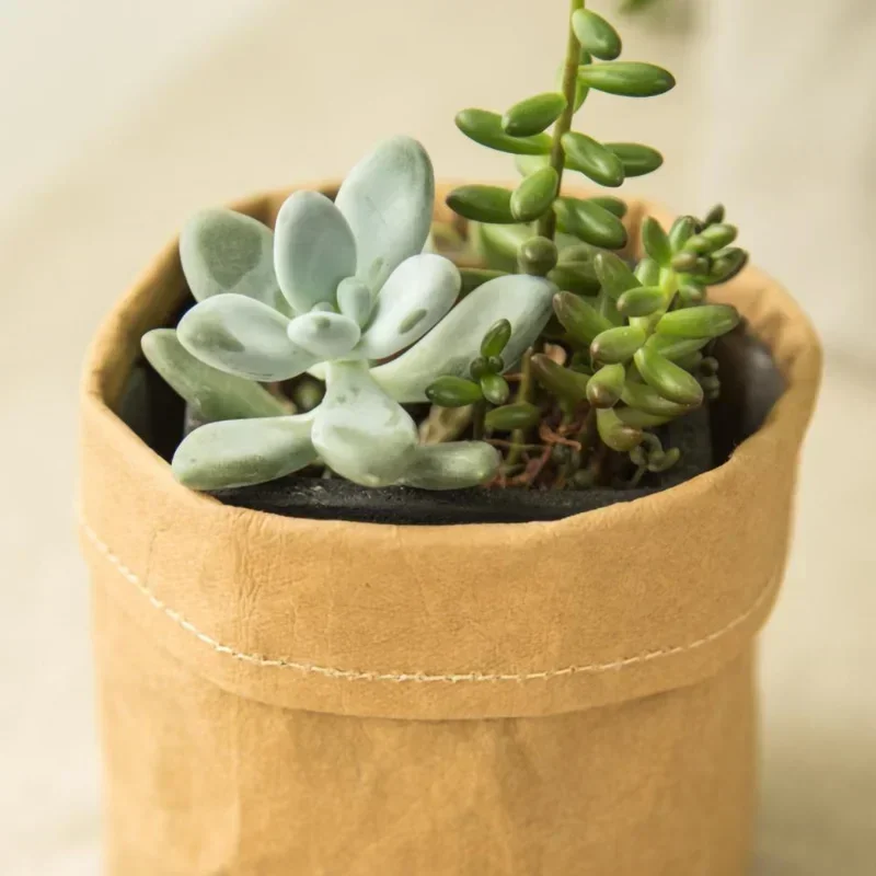 3 Sizes Pot Washable Kraft Paper Flowerpot Creative Desktop Flower Pots Reuseable Succulents Planter Multifunction Storage Bag